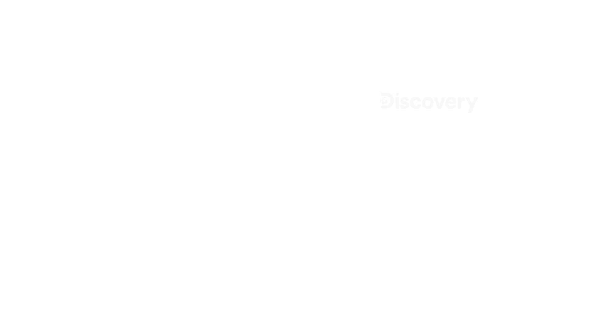 Discovery
