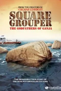 Square Grouper: The Godfathers of Ganja
